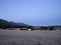 IMG_3840.jpg