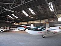 IMG_4223.jpg