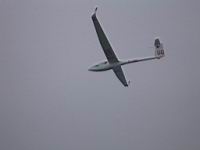 IMG_4275.jpg