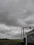 IMG_5333.jpg
