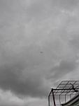 IMG_5336.jpg