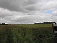 IMG_5340.jpg