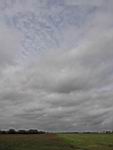 IMG_5361.jpg