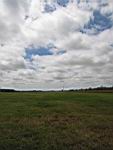 IMG_5390.jpg