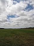 IMG_5392.jpg