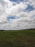 IMG_5393.jpg