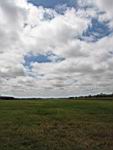 IMG_5394.jpg