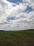 IMG_5395.jpg