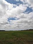 IMG_5396.jpg