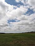 IMG_5397.jpg
