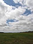 IMG_5398.jpg