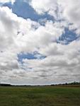 IMG_5404.jpg