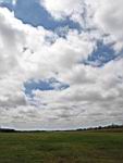 IMG_5407.jpg