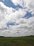 IMG_5408.jpg