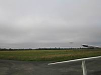 IMG_5462.jpg
