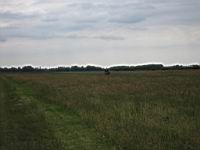 IMG_8220.jpg