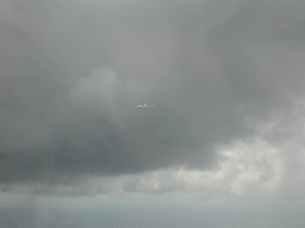 IMG_8818.jpg