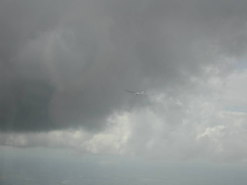 IMG_8820.jpg