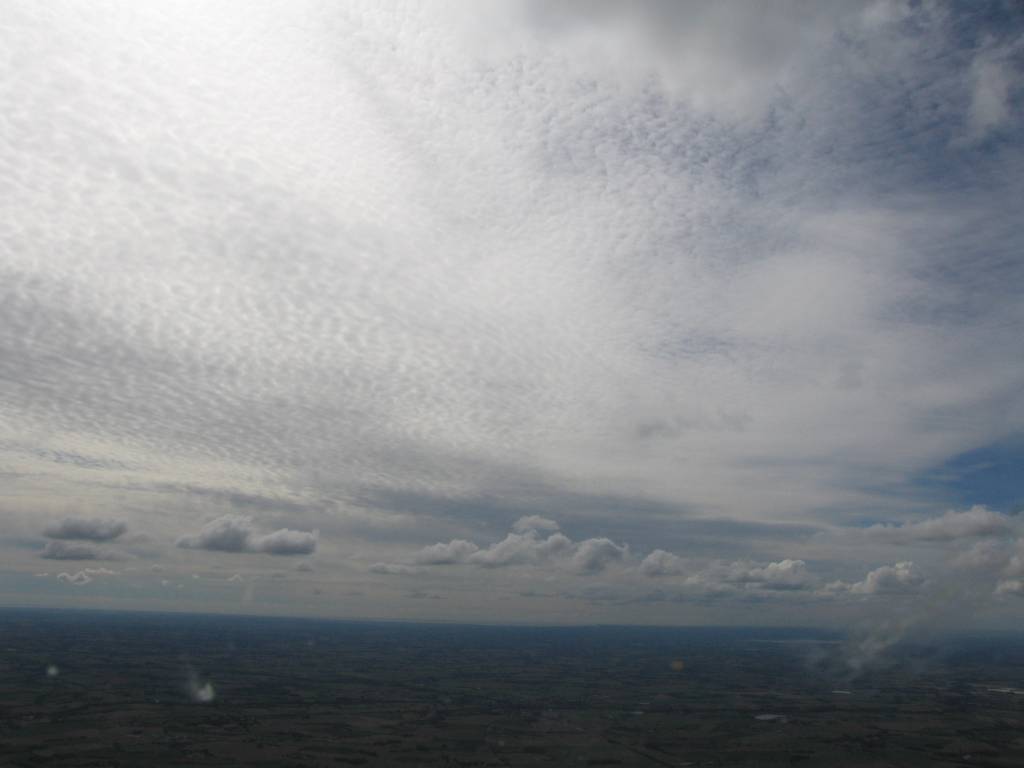 IMG_8988.jpg