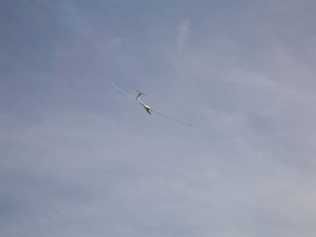 IMG_9020.jpg
