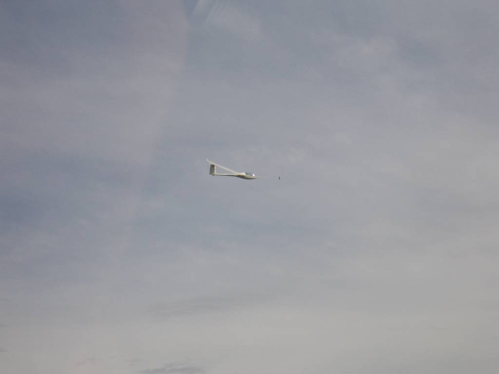 IMG_9021.jpg