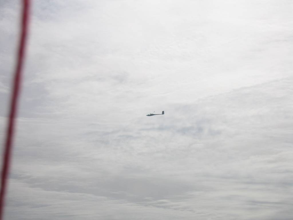 IMG_9025.jpg