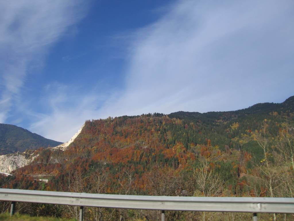IMG_0253.jpg
