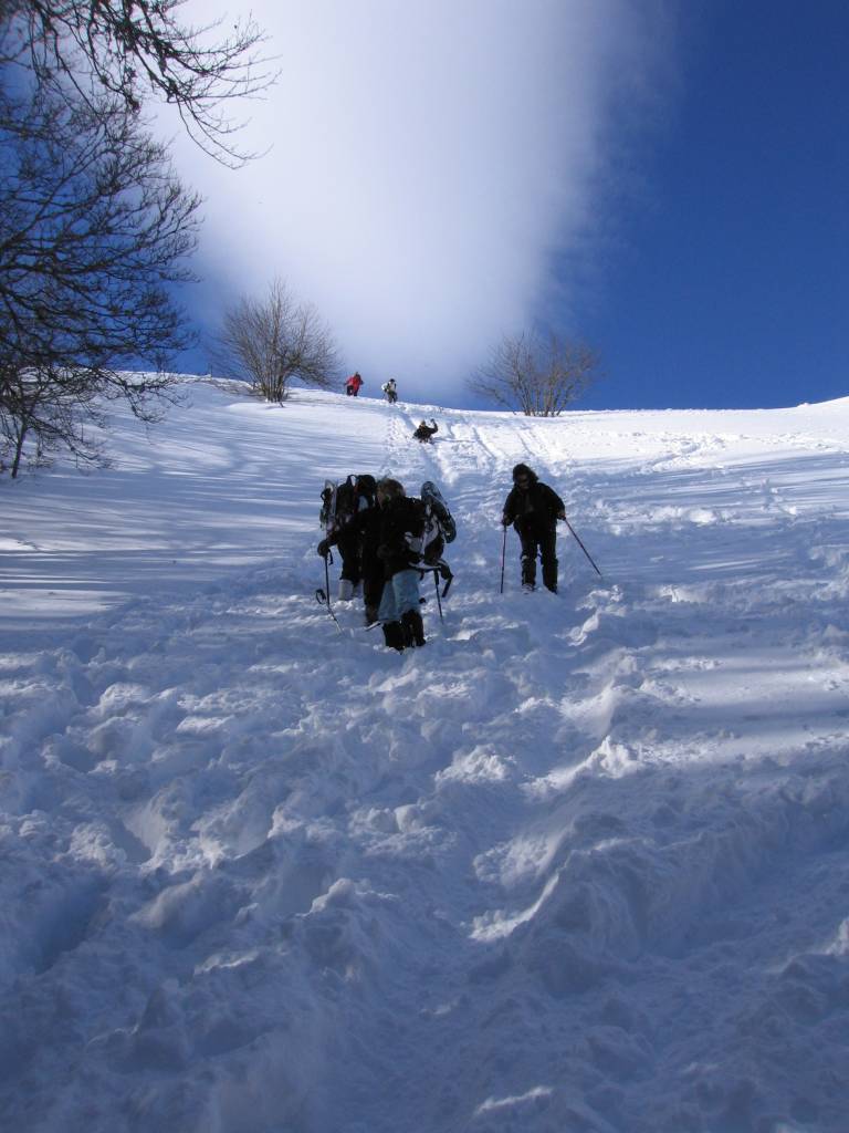 IMG_2799.jpg