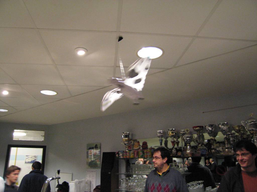 IMG_2826.jpg
