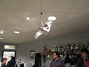 IMG_2826.jpg
