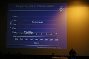 IMGP5181.jpg