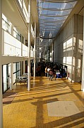 IMGP5301.jpg