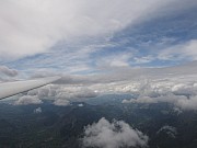 IMG_3156.jpg