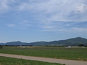IMG_3157.jpg