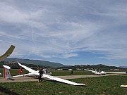 IMG_3160.jpg