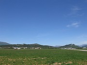 IMG_3169.jpg