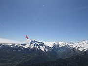 IMG_3217.jpg