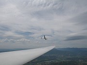 IMG_3251.jpg