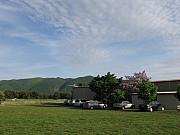 IMG_3258.jpg