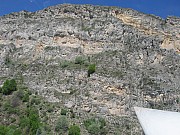 IMG_3277.jpg