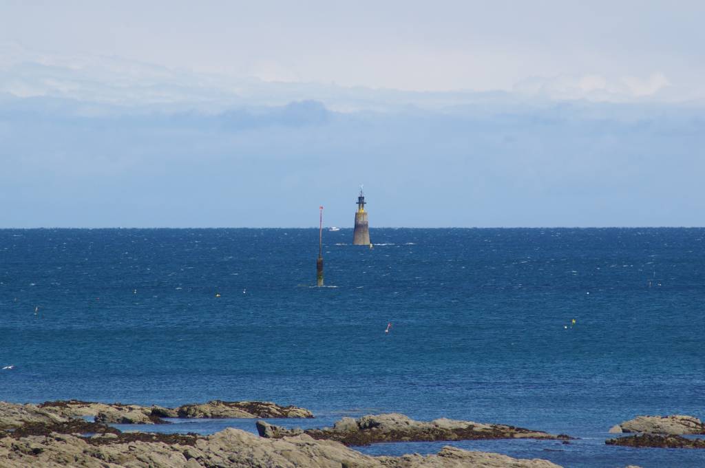 IMGP5396.jpg