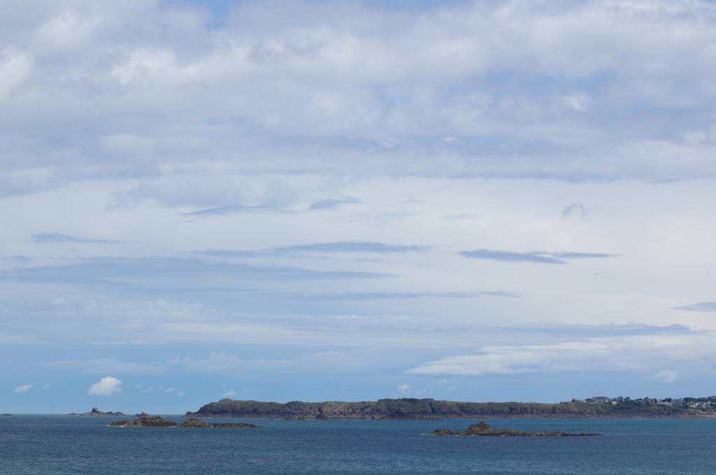 IMGP5416.jpg