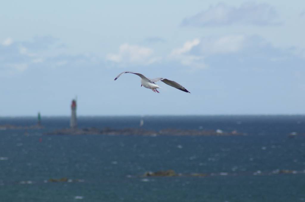 IMGP5448.jpg