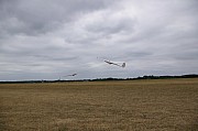 IMGP5546.jpg