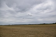 IMGP5547.jpg