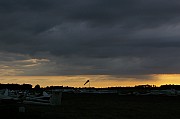 IMGP5579.jpg